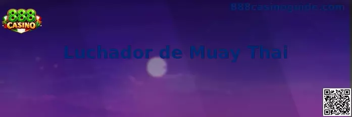 Simulador Muay Thai
